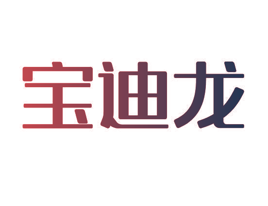 宝迪龙