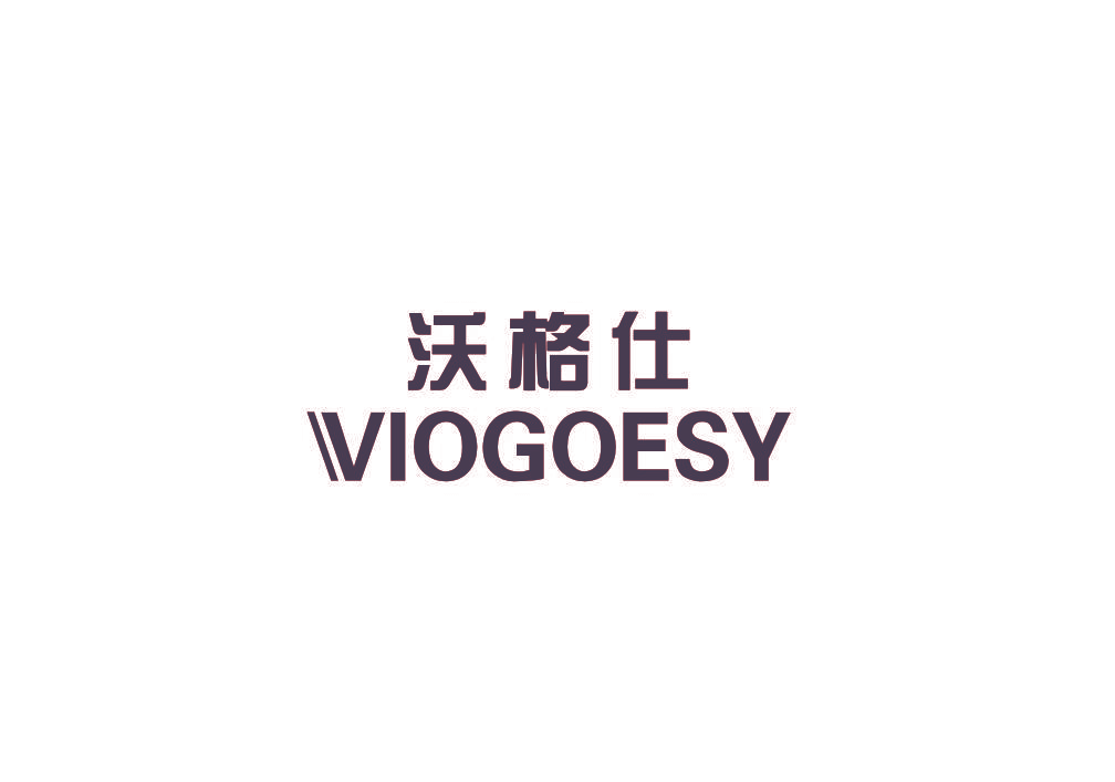 沃格仕 VIOGOESY