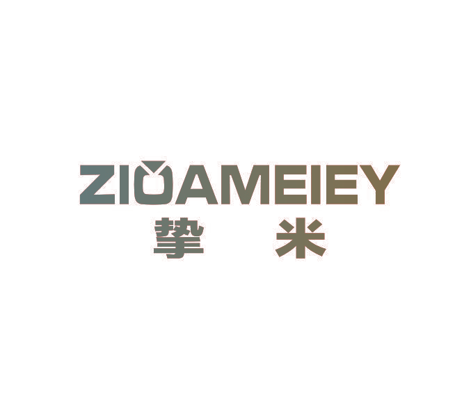 ZIOAMEIEY 挚米