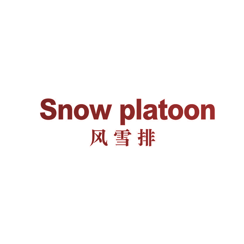 SNOW PLATOON 风雪排