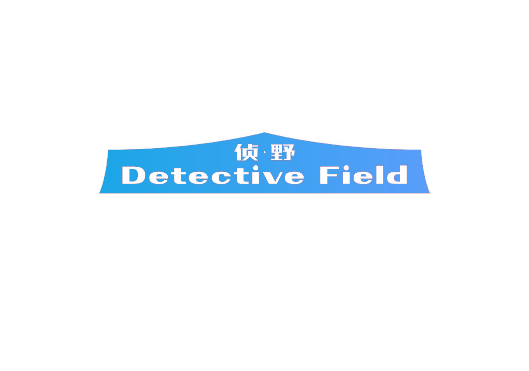 侦野 DETECTIVE FIELD