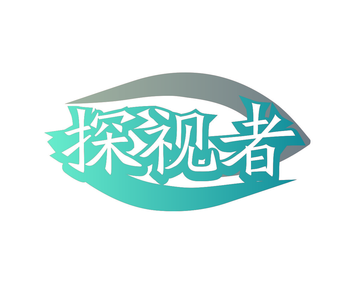 探视者