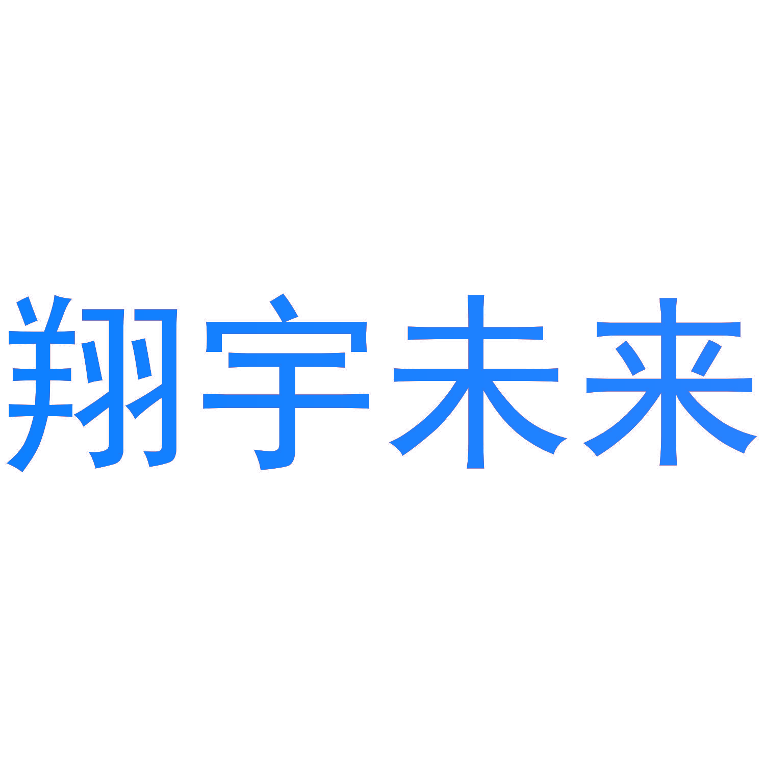 翔宇未来