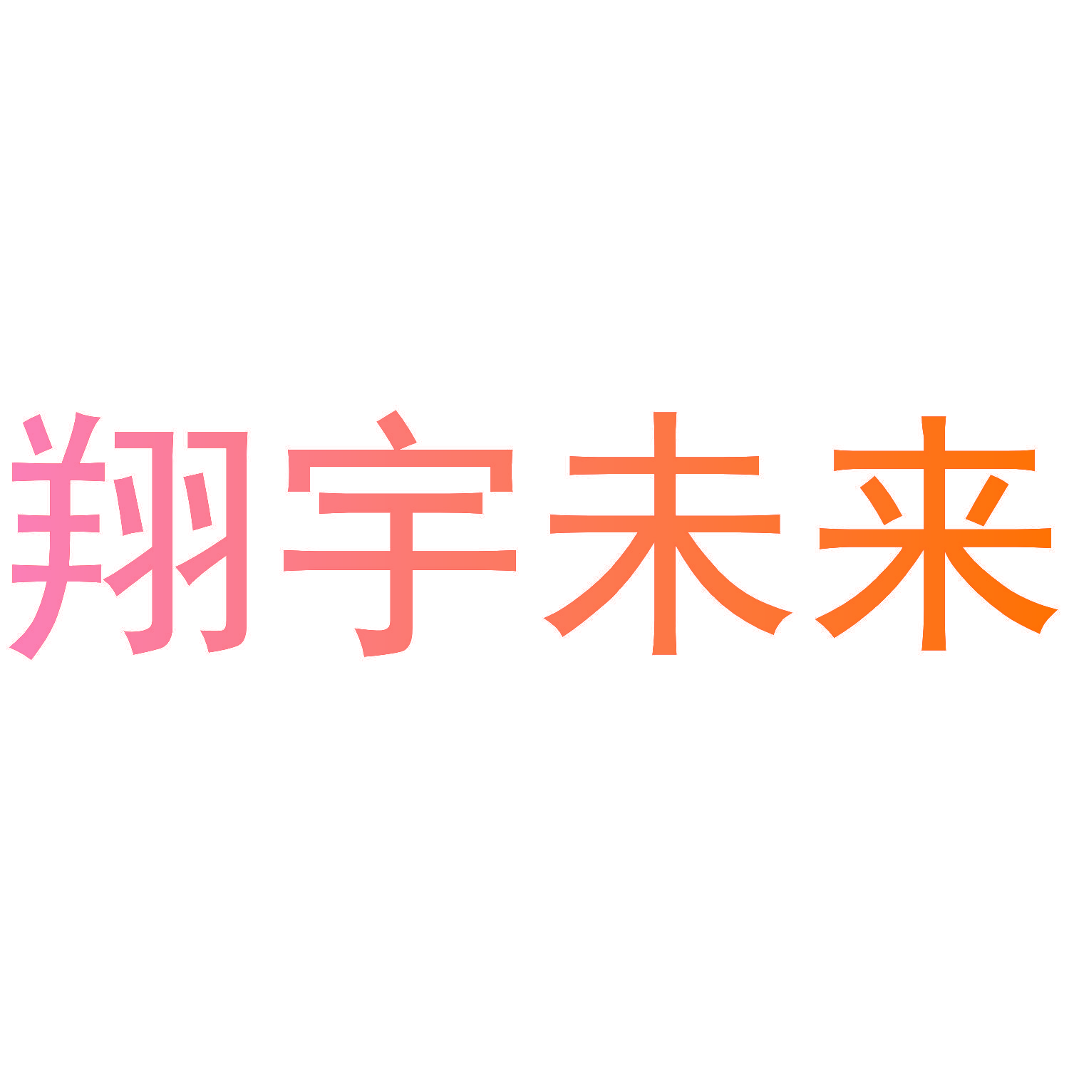 翔宇未来
