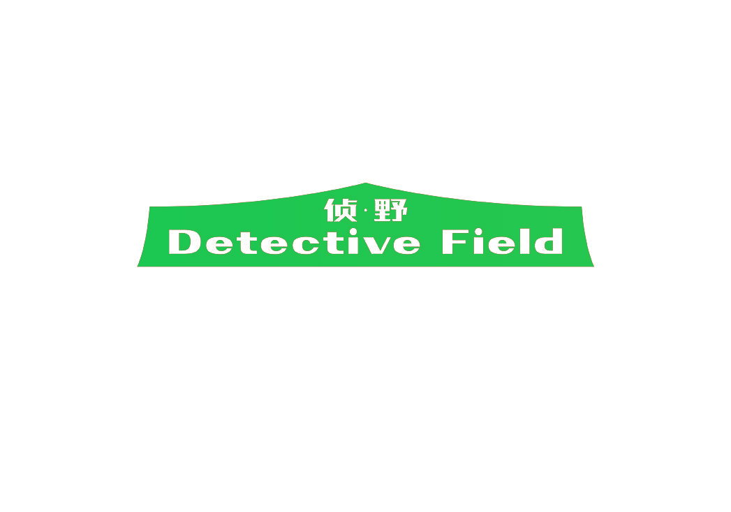 侦·野 DETECTIVE FIELD