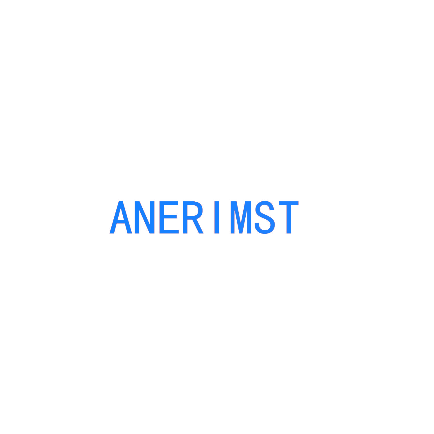 ANERIMST