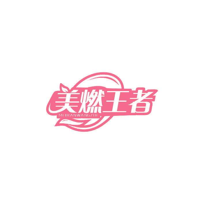 美燃王者