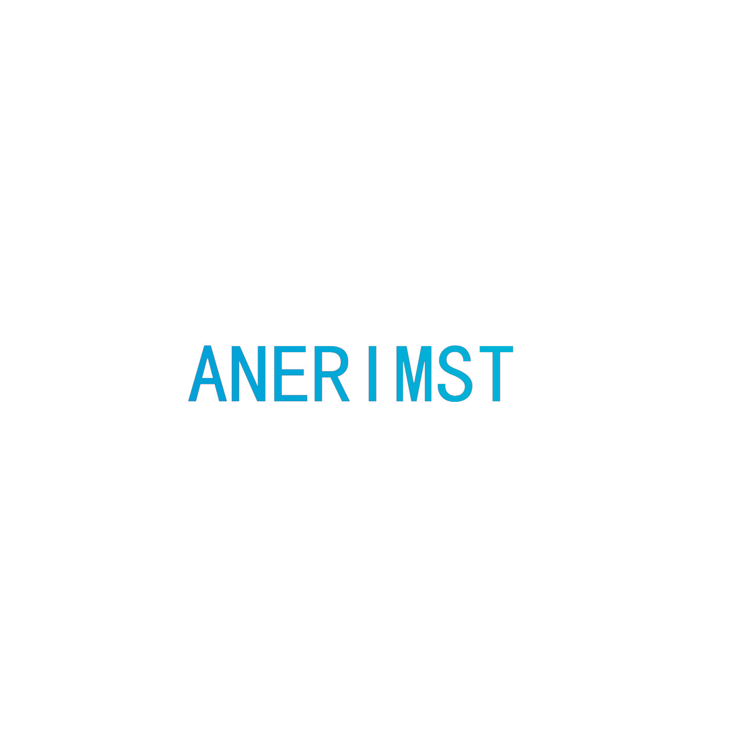 ANERIMST