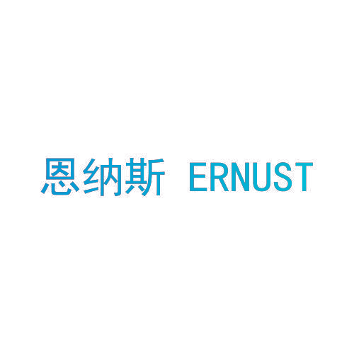 恩纳斯 ERNUST