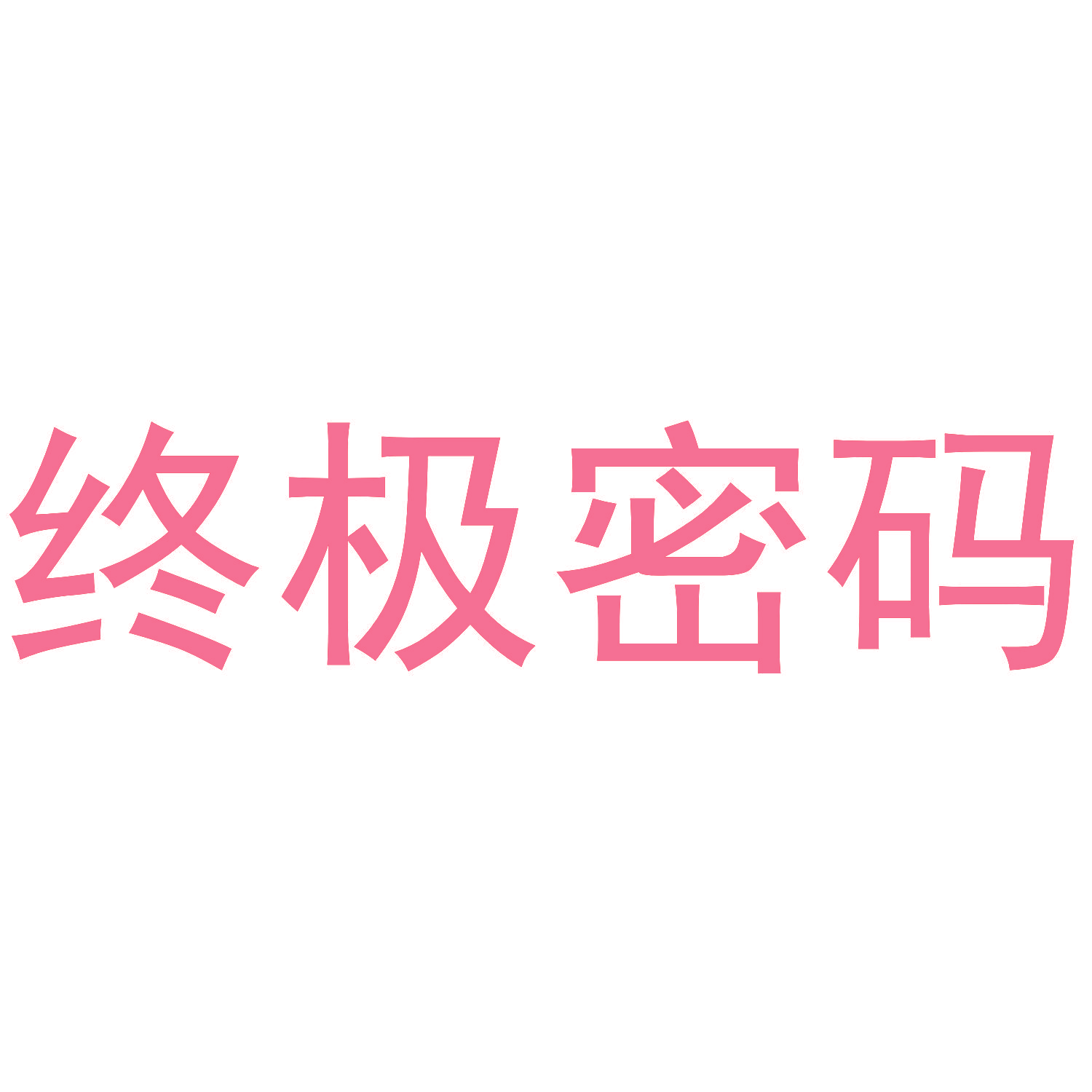 终极密码