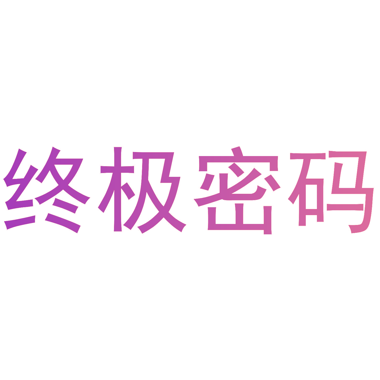 终极密码