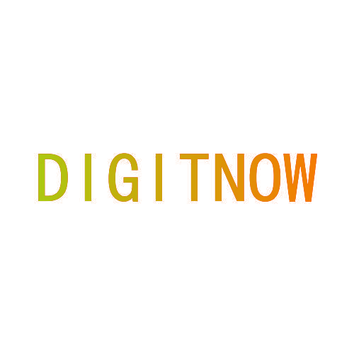 DIGITNOW