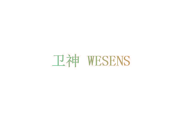 卫神 WESENS