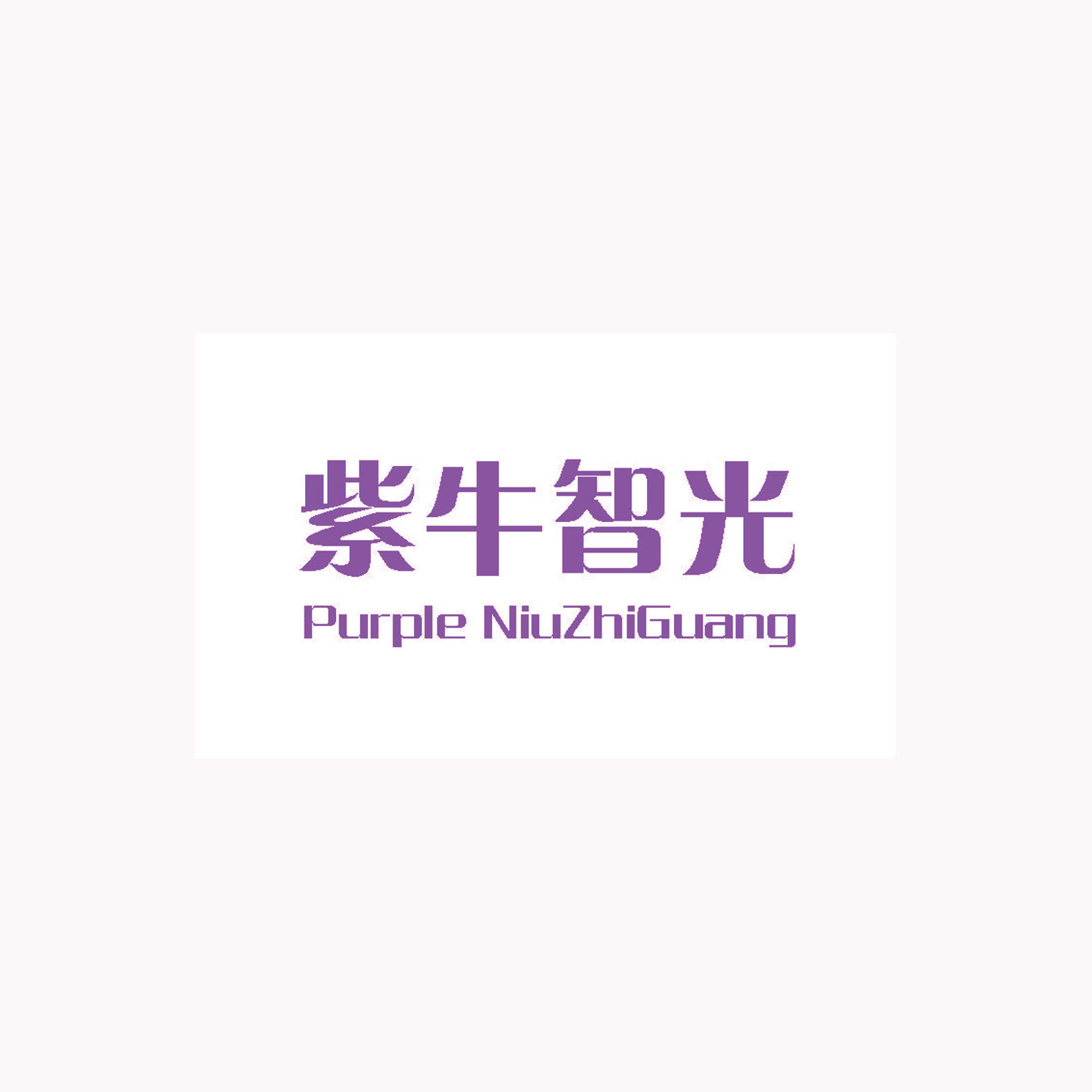 紫牛智光 PURPLE NIUZHIGUANG
