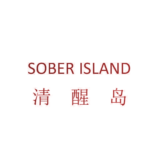 SOBER ISLAND 清醒岛