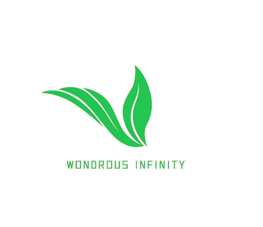 WONOROUS INFINITY