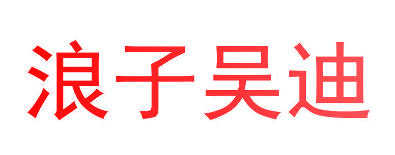 浪子吴迪