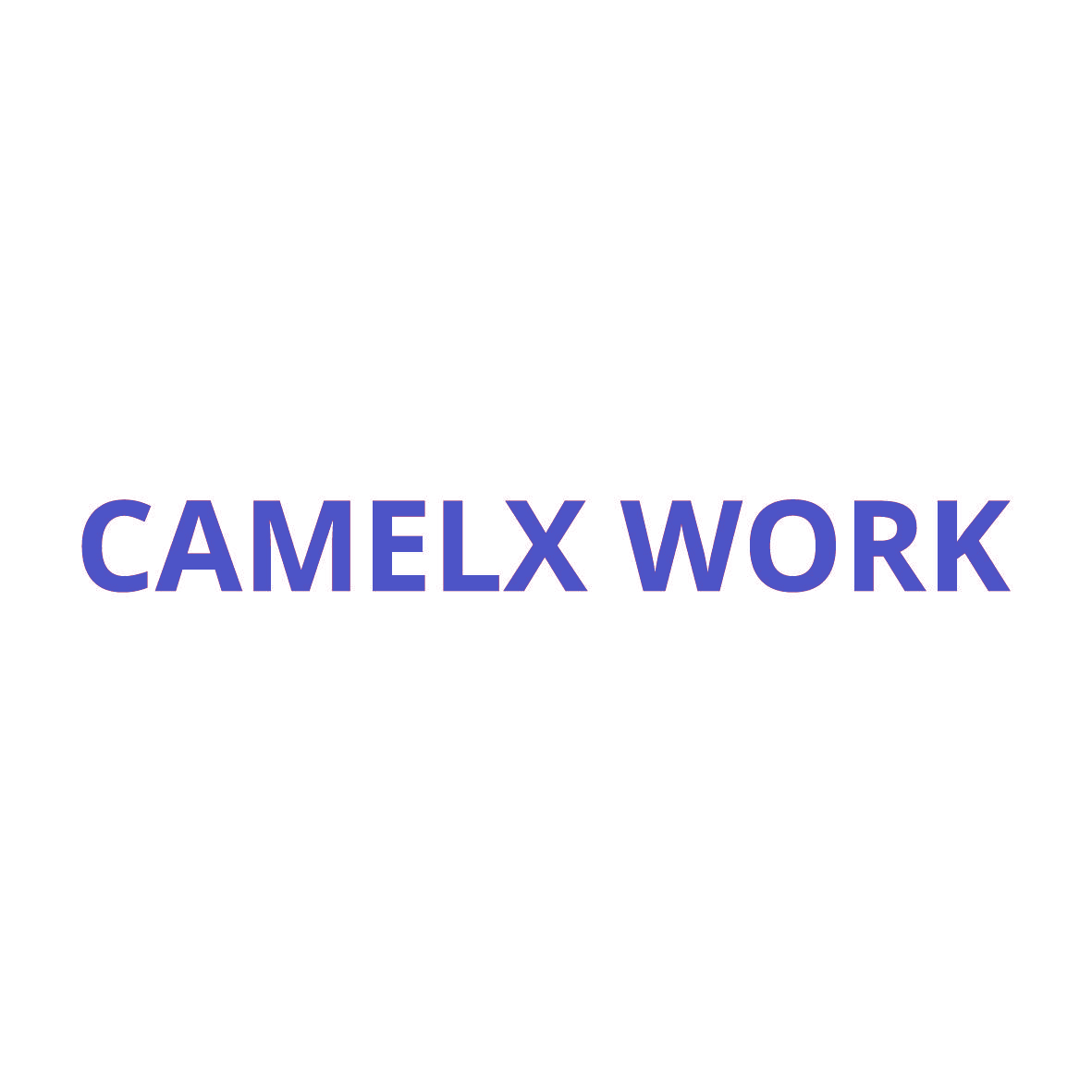 CAMELX WORK