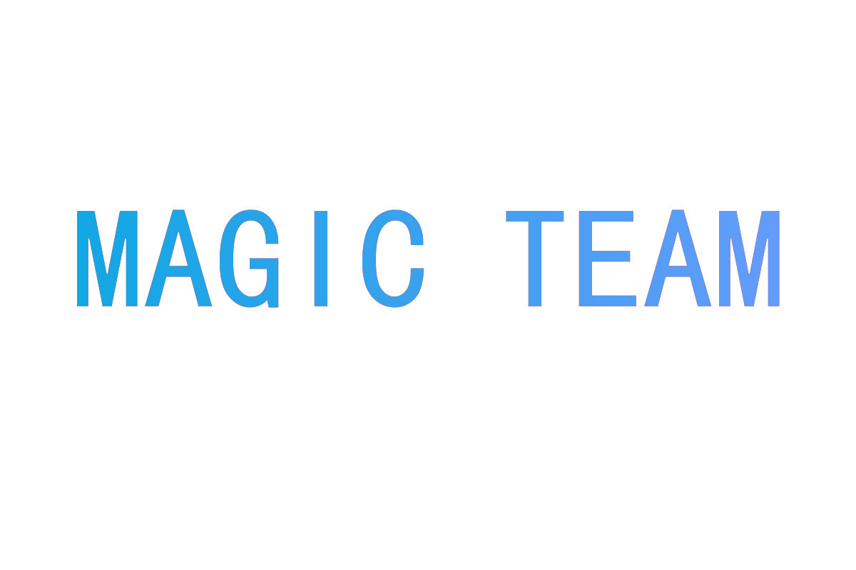 MAGIC TEAM