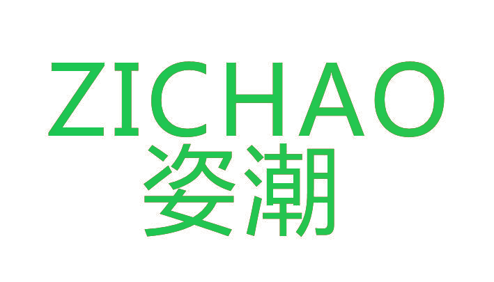 姿潮