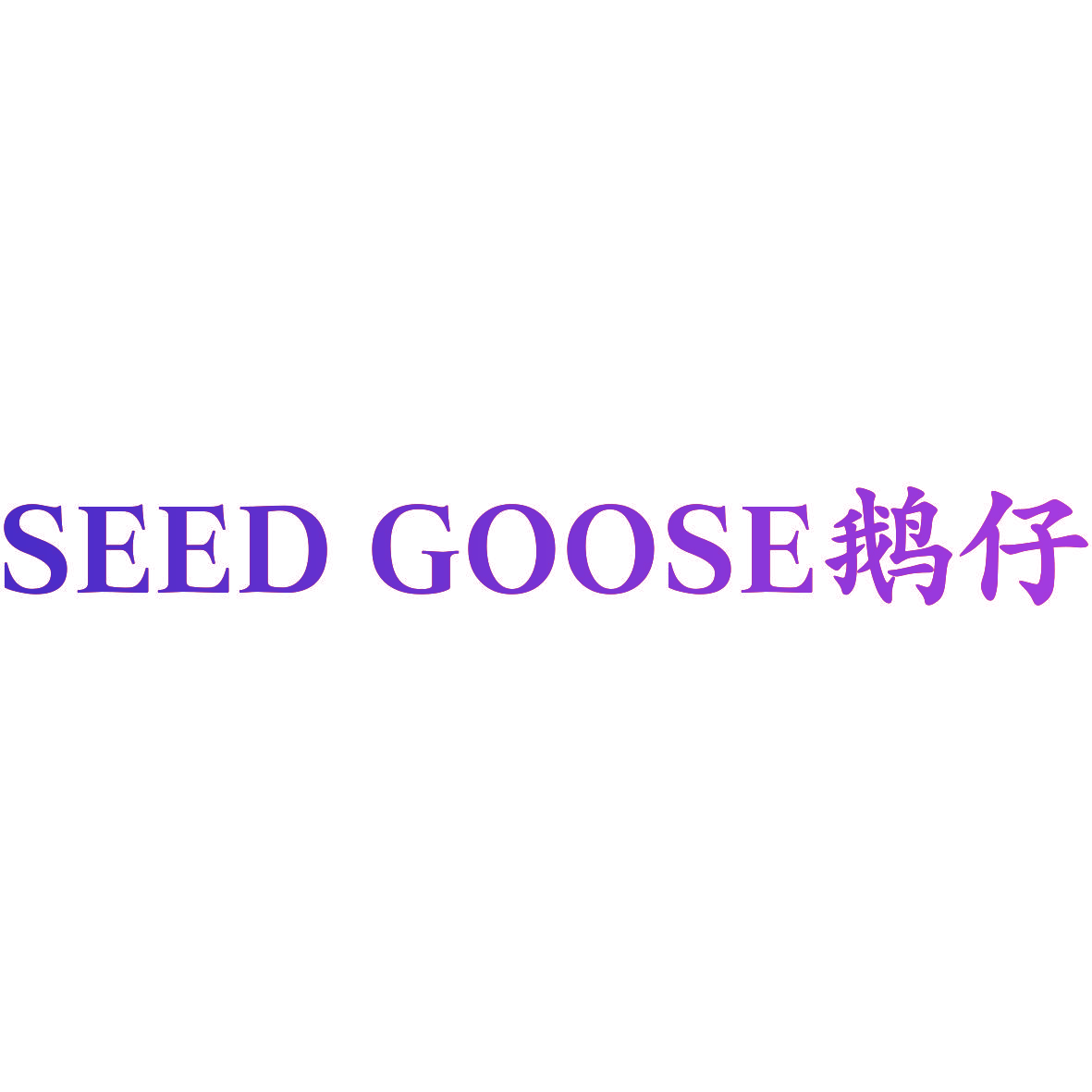 SEED GOOSE 鹅仔