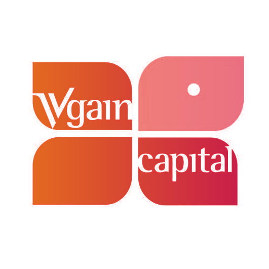 VGAIN CAPITAL
