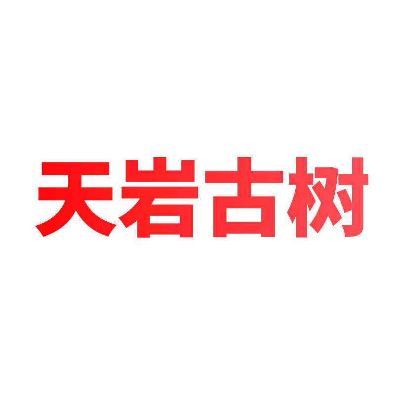 天岩古树