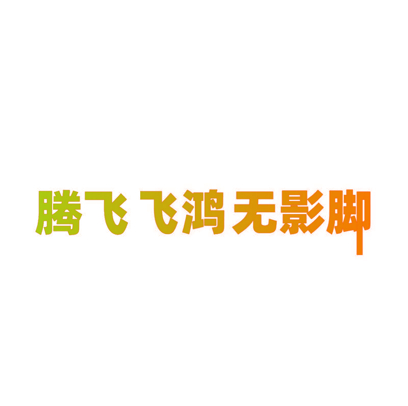 腾飞飞鸿无影脚