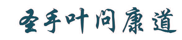 圣手叶问康道