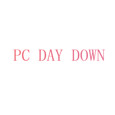 PC DAY DOWN