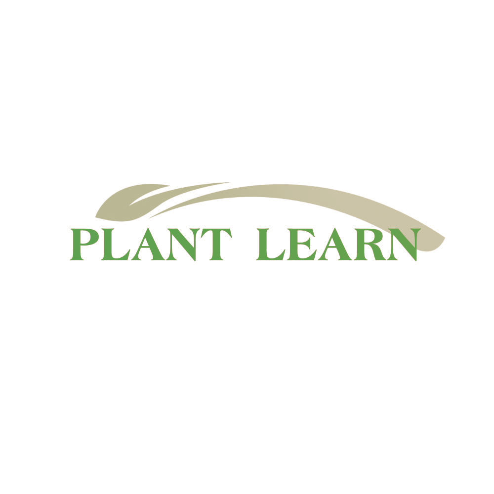 PLANT LEARN