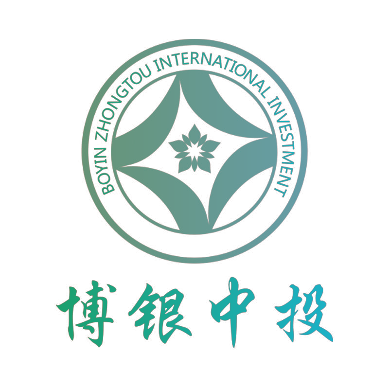 博银中投 BOYIN ZHONGTOU INTERNATIONAL INVESTMENT