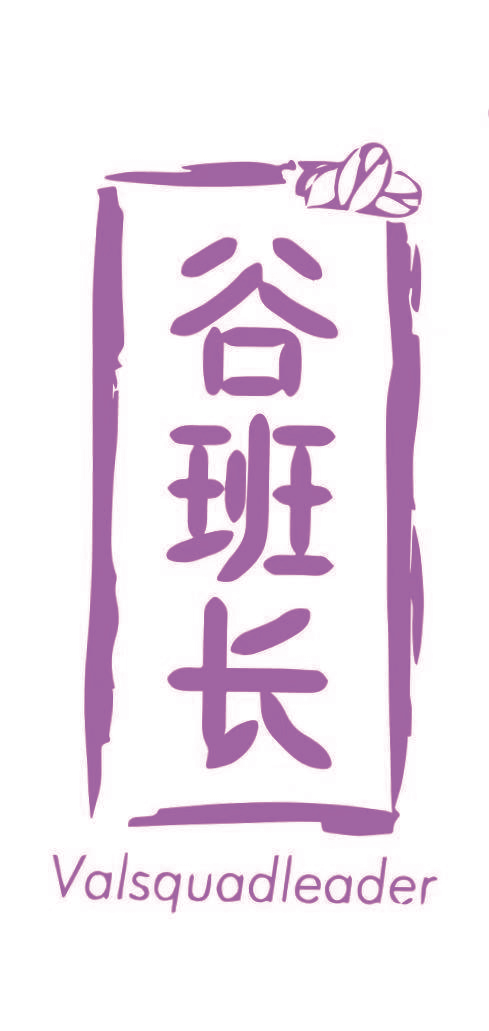 谷班长 VALSQUADLEADER