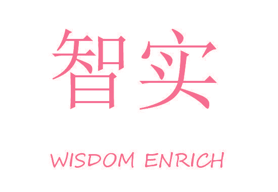 智实 WISDOM ENRICH