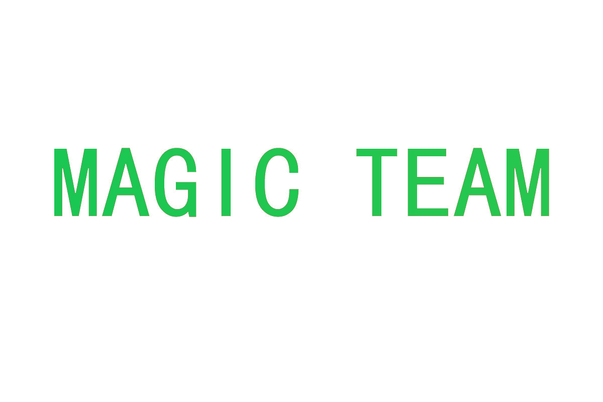 MAGIC TEAM