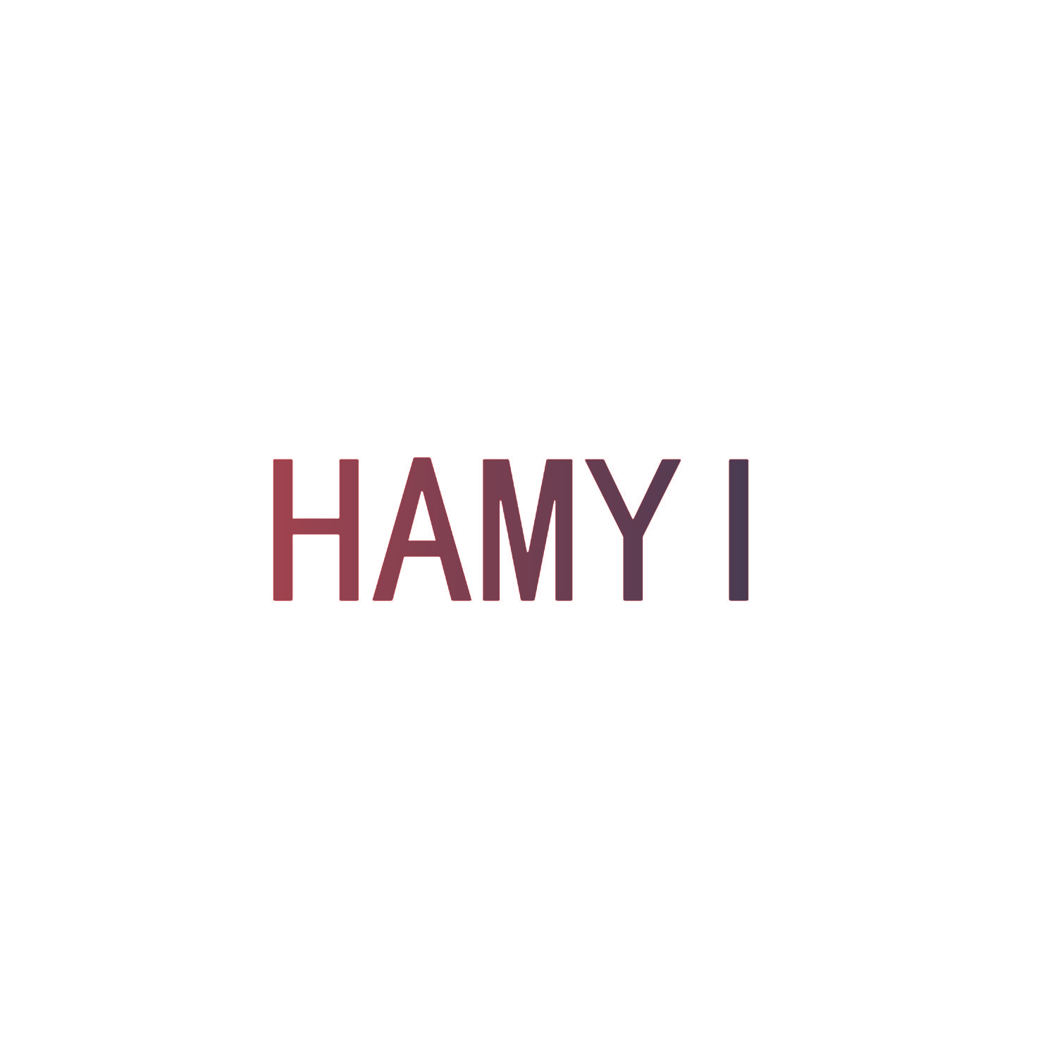 HAMYI