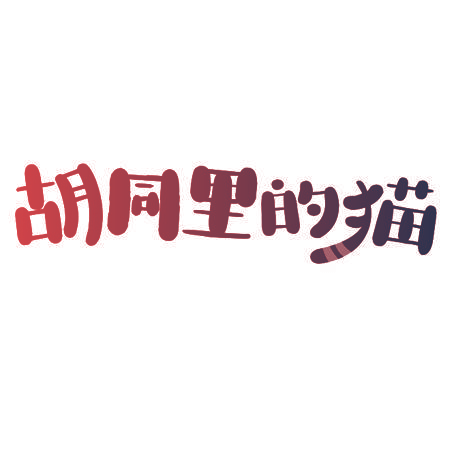 胡同里的猫