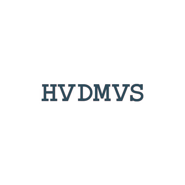 HVDMVS