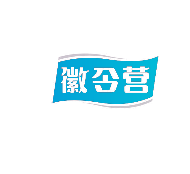 徽令营