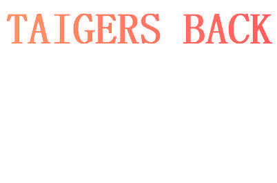 TAIGERS BACK