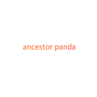 ANCESTOR PANDA