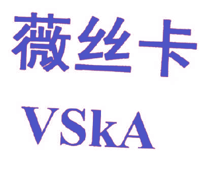 薇丝卡 VSKA