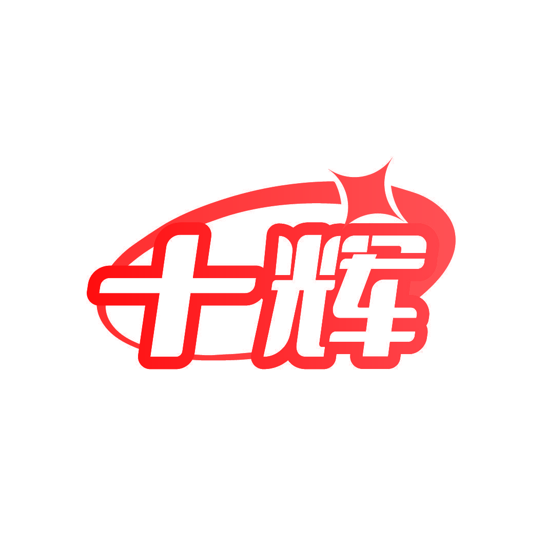 十辉