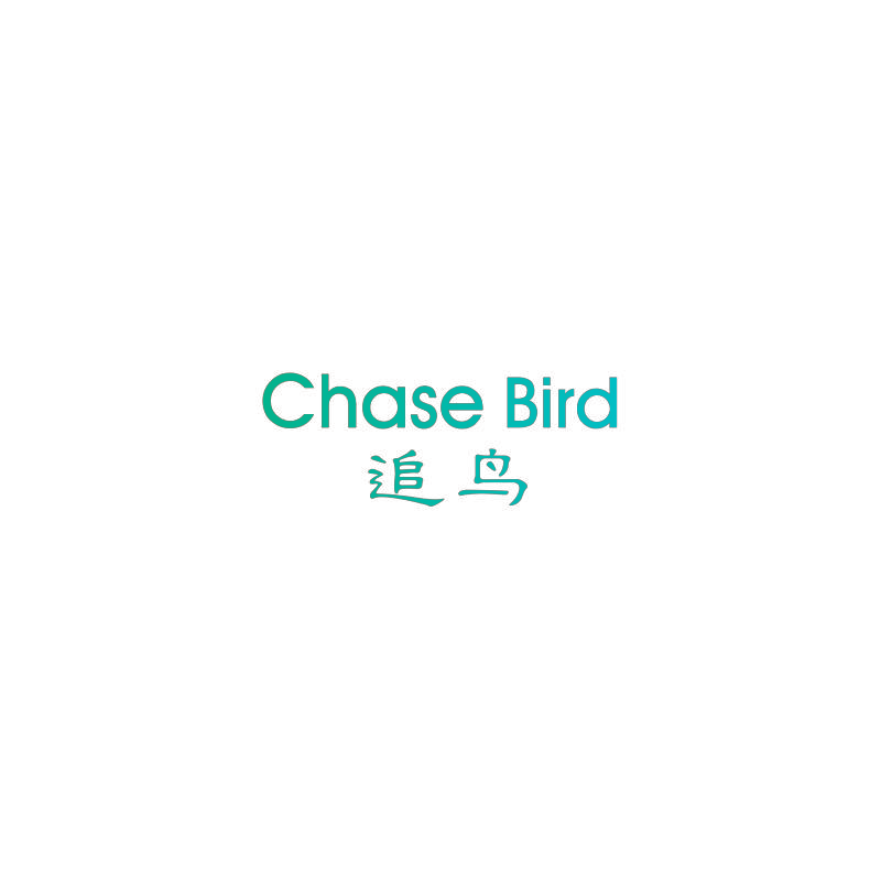追鸟 CHASE BIRD