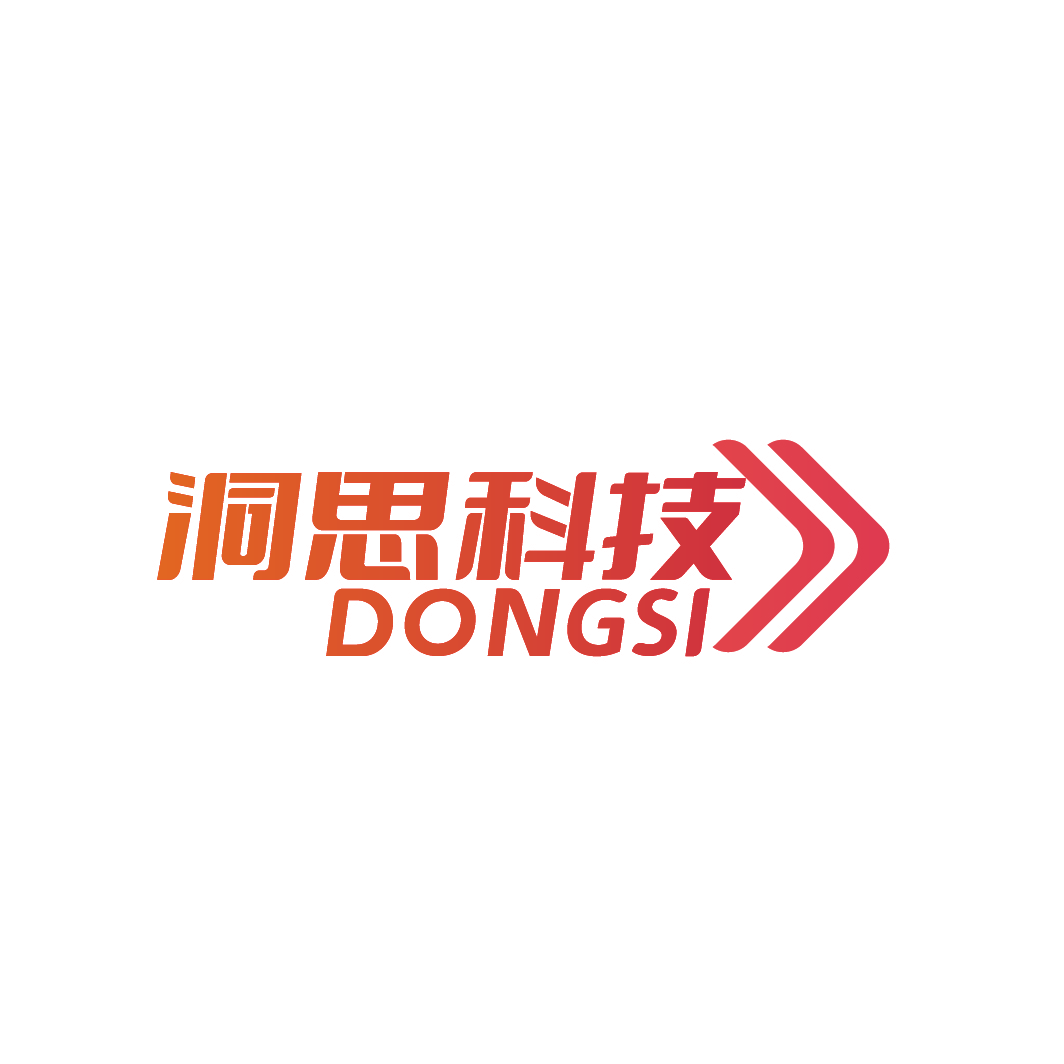 洞思科技 DONG SI