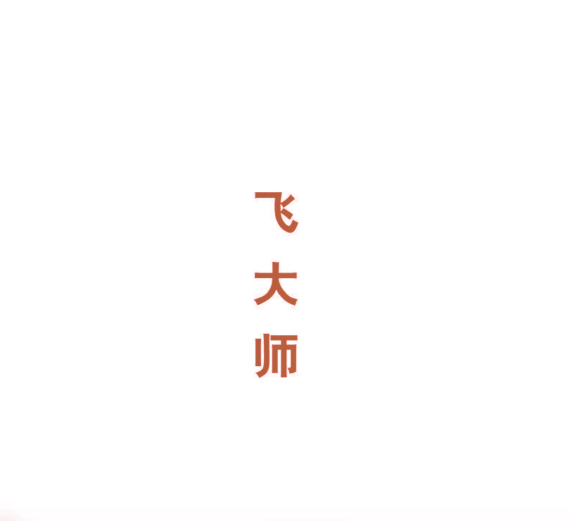 飞大师