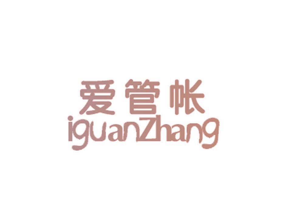爱管帐 IGUANZHANG