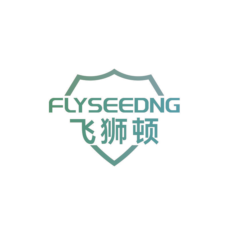 FLYSEEDNG 飞狮顿