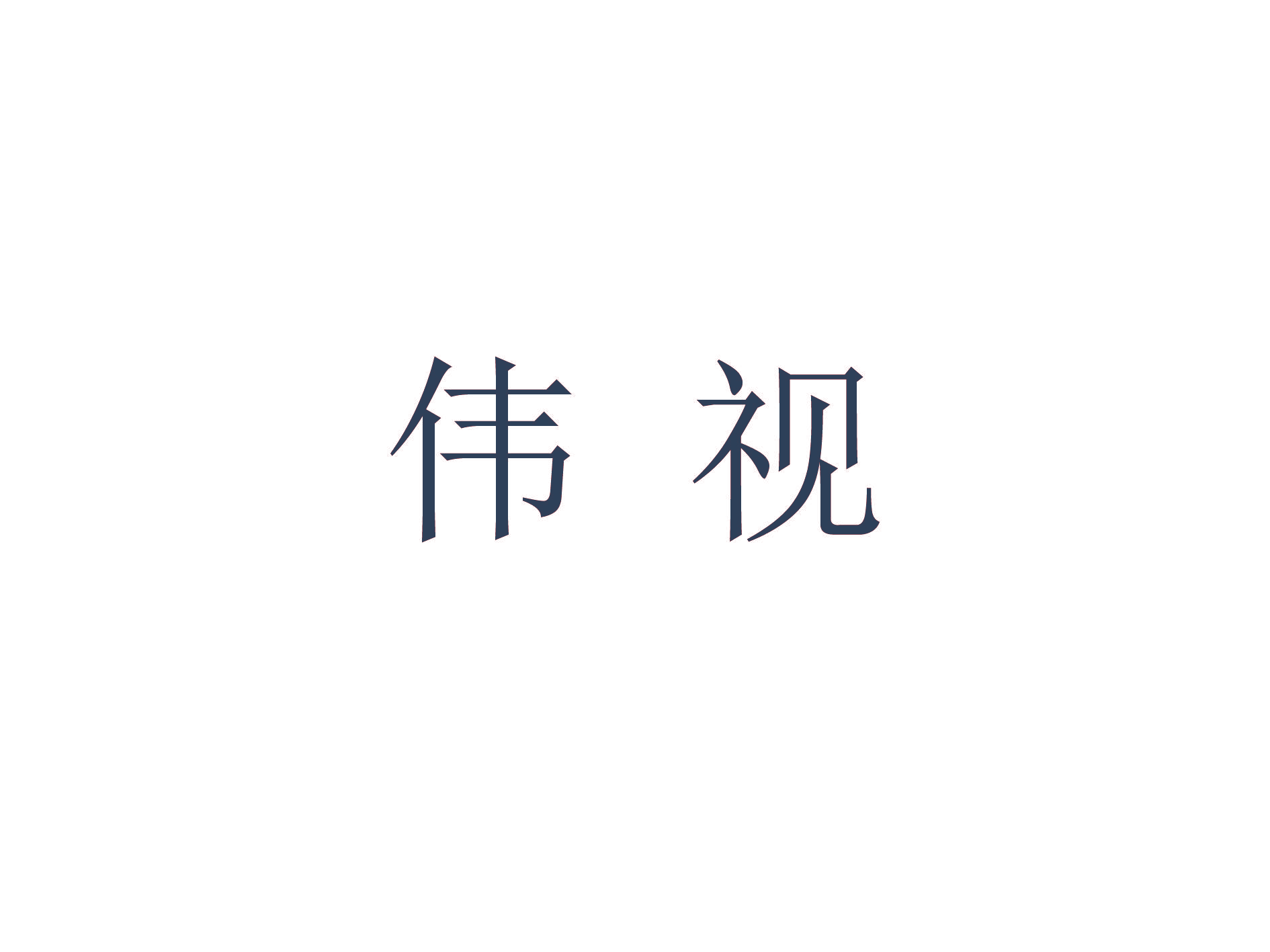伟视
