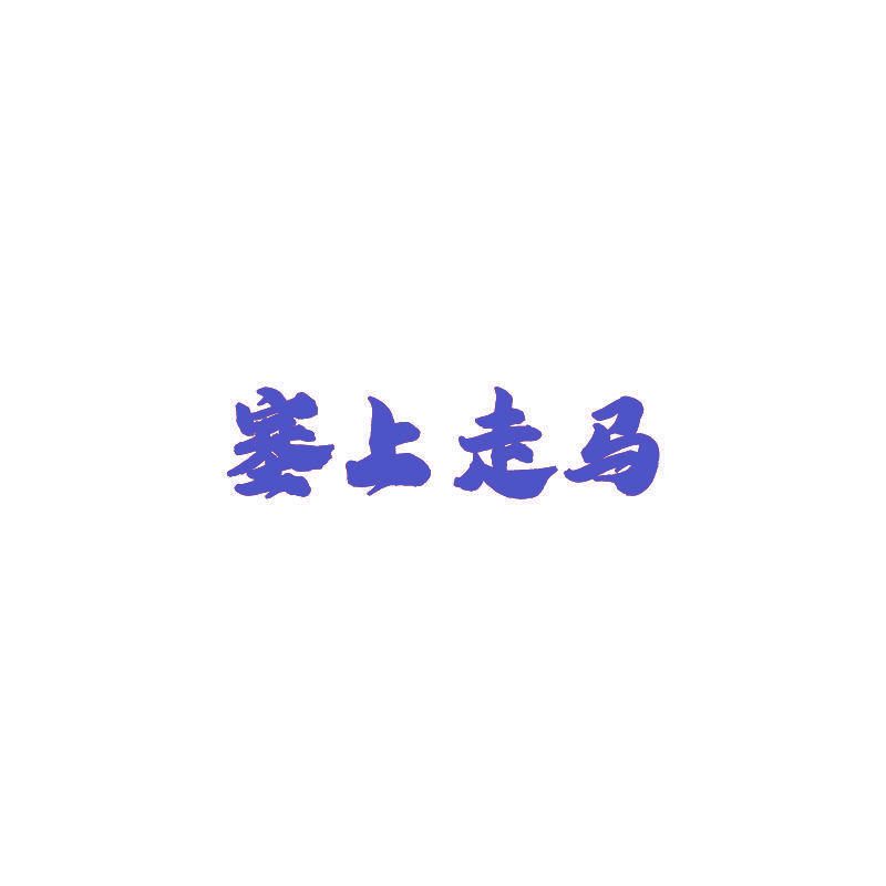 塞上走马